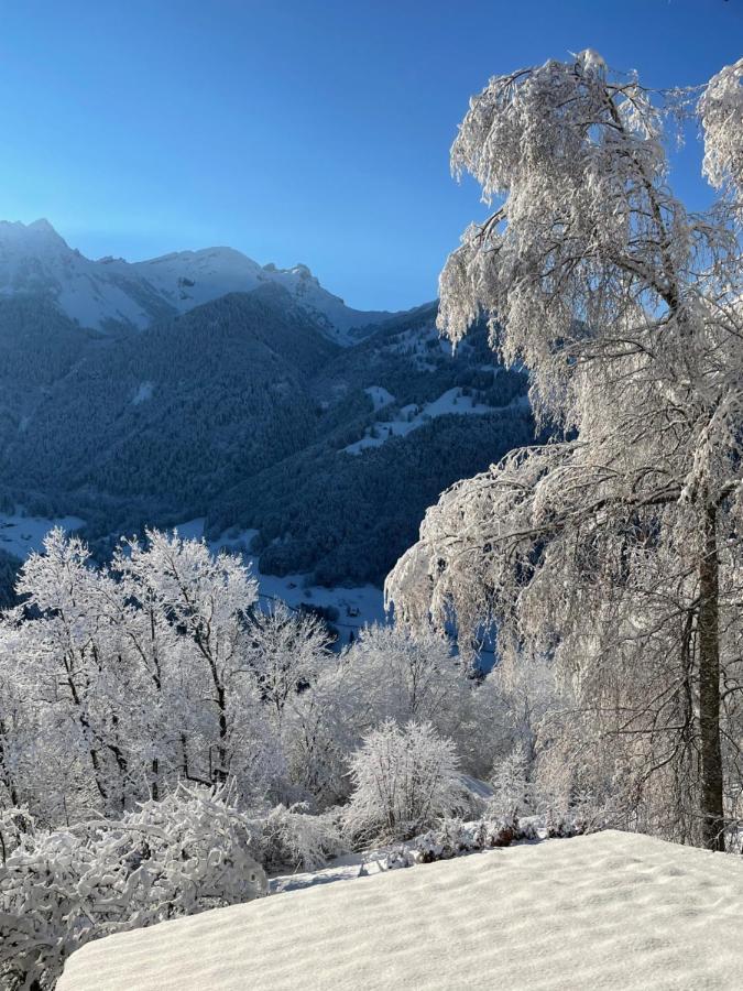 Chalet Rayon de Soleil Gryon Eksteriør billede